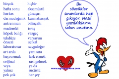 sozcuklerin-yazimi-woody