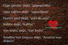 yazimi-karistirilanlar