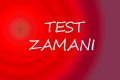 8. SINIF TÜRKÇE CÜMLEDE ANLAM TESTİ (Üyelere Özel)