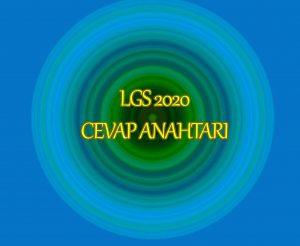LGS 2020 CEVAP ANAHTARI
